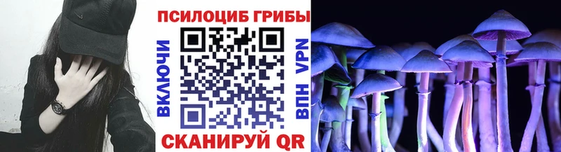 Галлюциногенные грибы Psilocybe  как найти   Узловая 