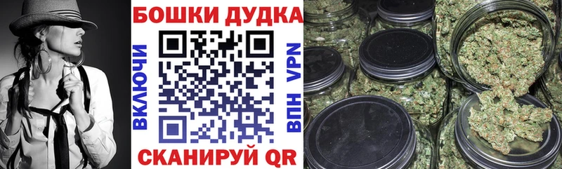 Бошки Шишки сатива Узловая